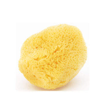 天然海綿（かいめん） 1袋1個入り （約5〜7cm） 切って使えるから経済的！ 安心の吸収力で生理の時にも便利！